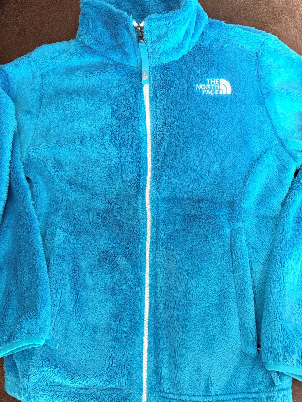 The North Face Bright Turquoise Kids Fleece Jacket - Full Zip 10/12